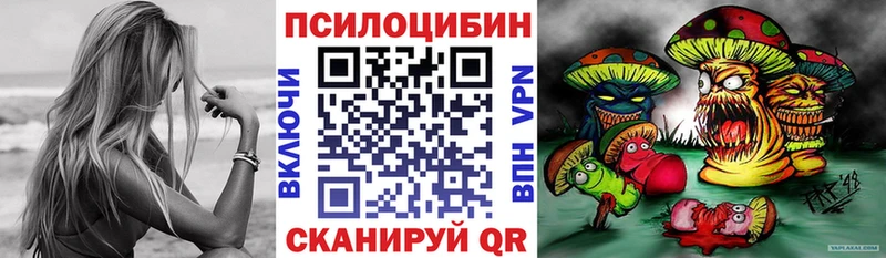Псилоцибиновые грибы мицелий  Купить закладки  Макарьев 